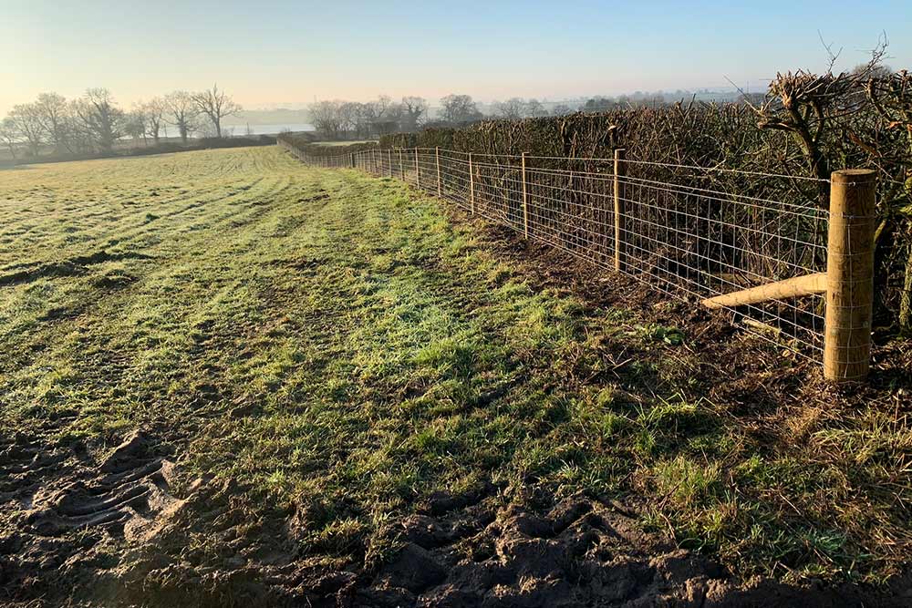Abbots Bromley High Tensile Tornado Stock Netting And Barbed Wire