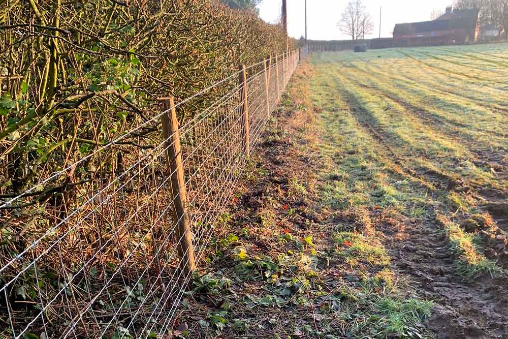 Abbots Bromley High Tensile Tornado Stock Netting And Barbed Wire