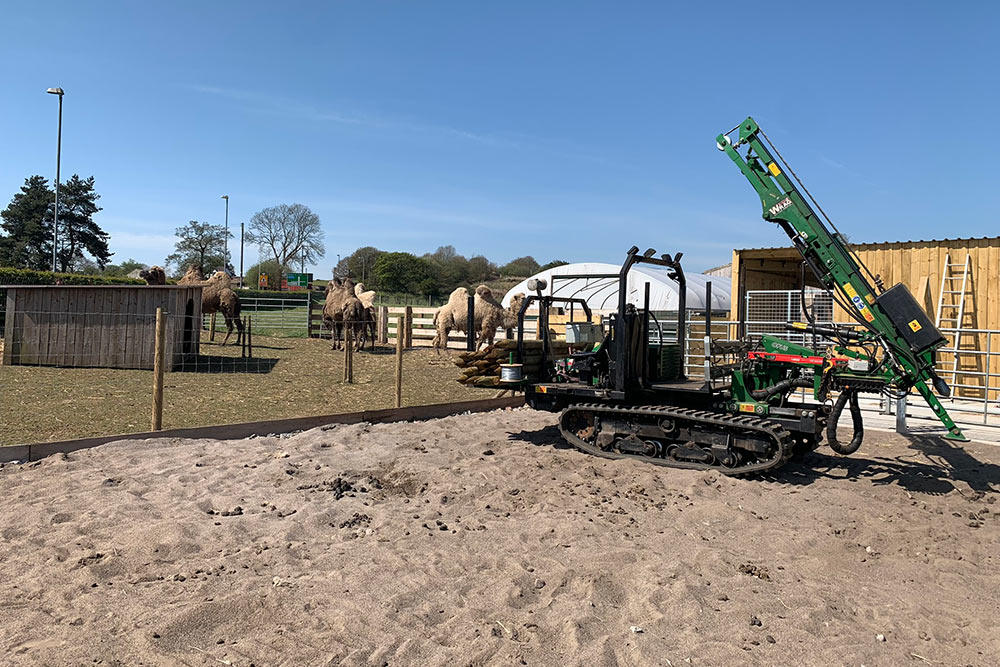 Agricultural Fencing, Oakleys Farm, Camels in the Background
