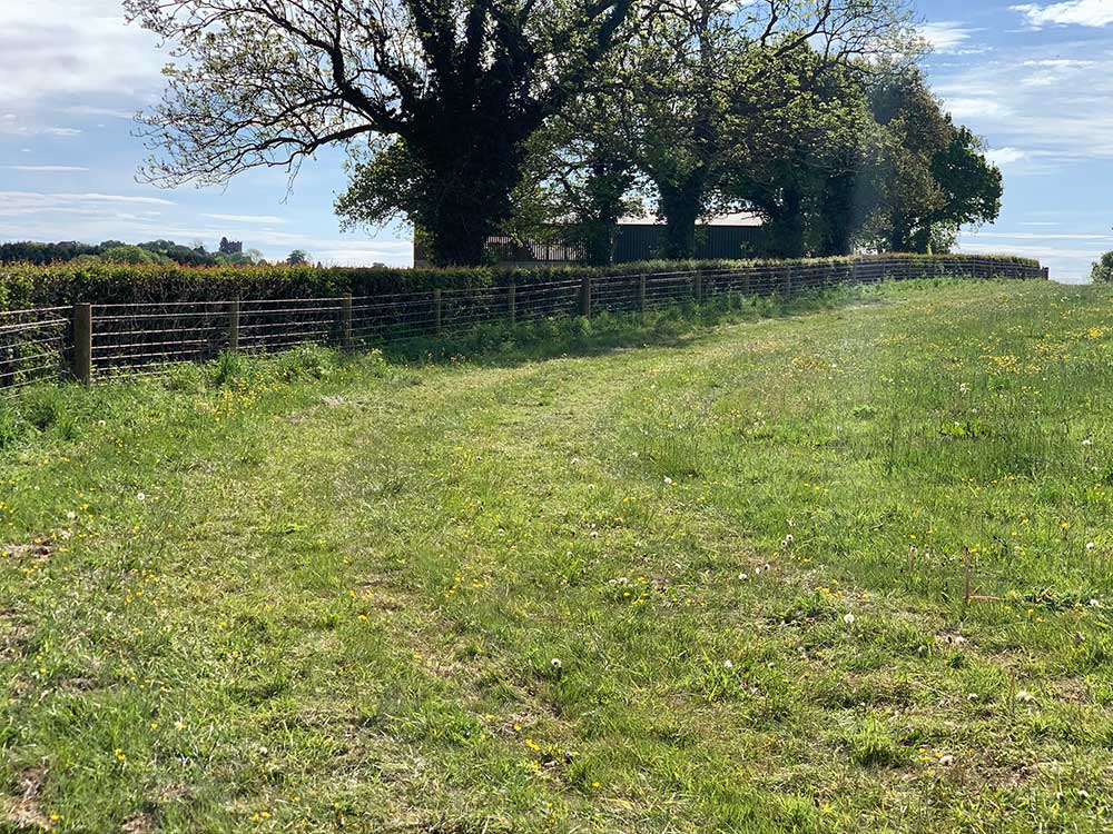 Agricultural Fencing, Tornado Stock Netting, Leigh, Stoke-on-Trent