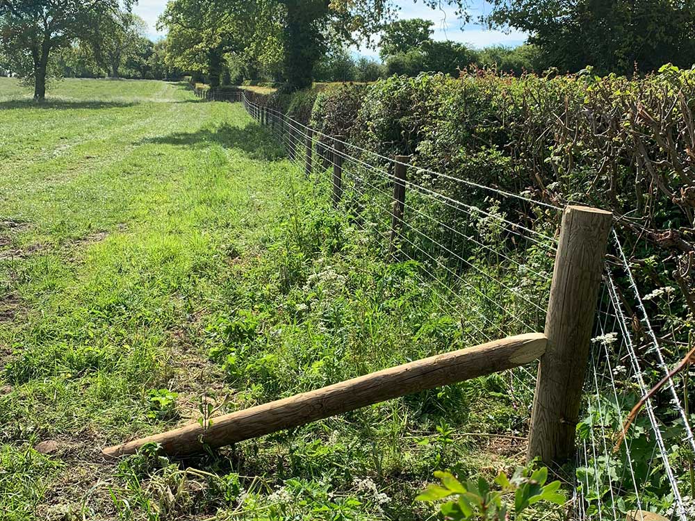 Agricultural Fencing, Tornado Stock Netting, Leigh, Stoke-on-Trent