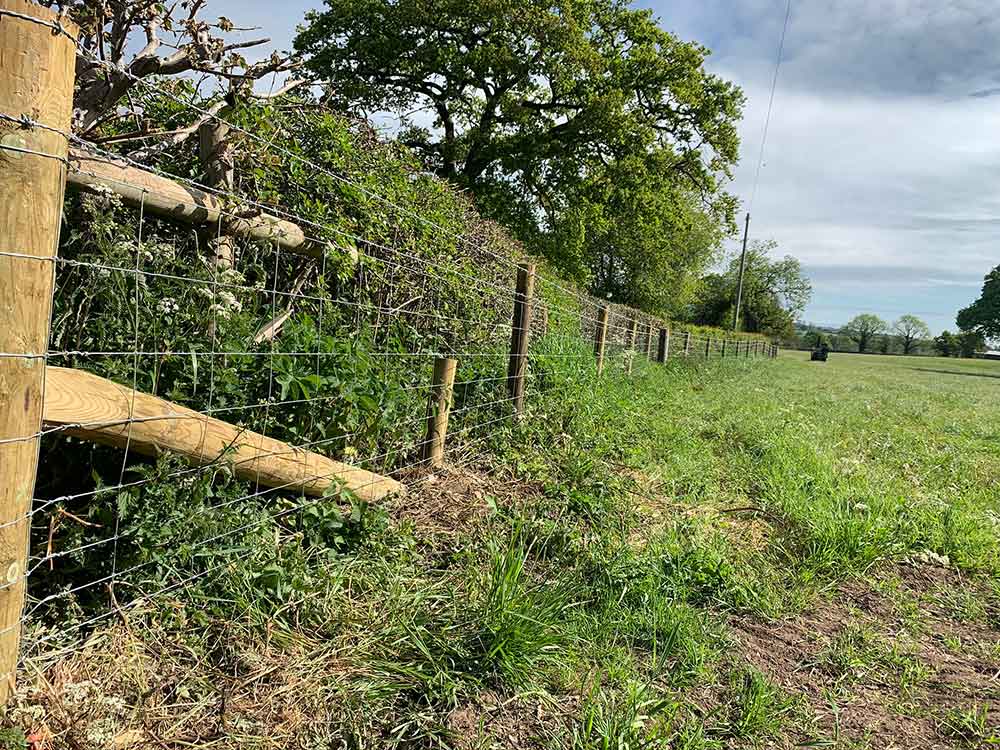 Agricultural Fencing, Tornado Stock Netting, Leigh, Stoke-on-Trent