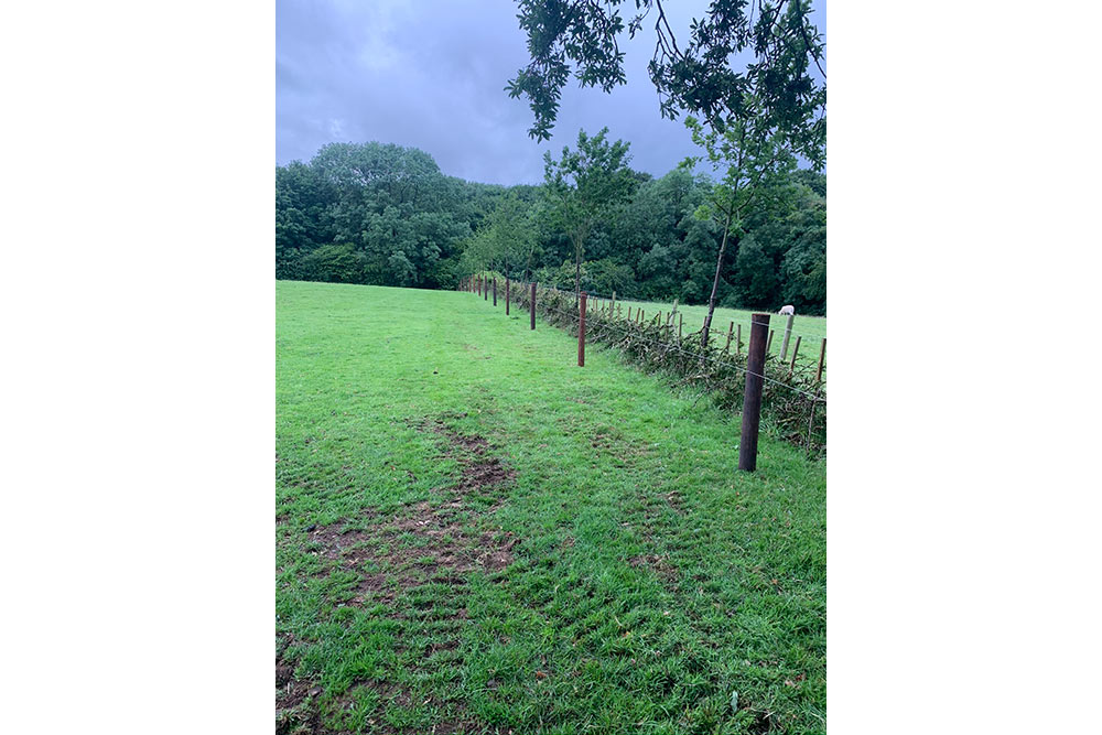 Agricultural Fencing Tornado Stock Netting, Milwich, Stafford